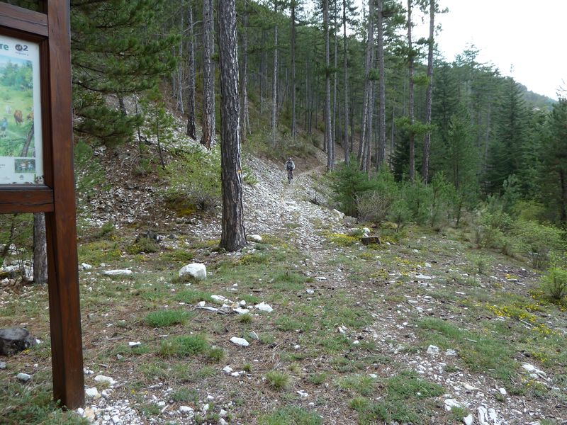 maurel_avril_2011_56.jpg