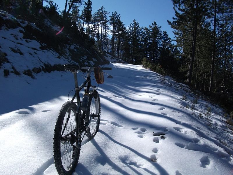 moustier_fev_2011_10.jpg