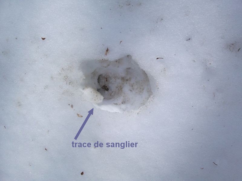 moustier_fev_2011_15.jpg
