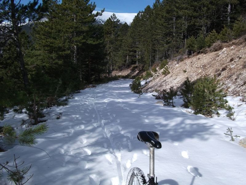 moustier_fev_2011_17.jpg