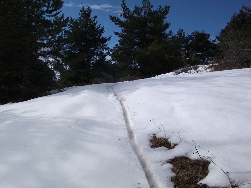 moustier_fev_2011_28.jpg