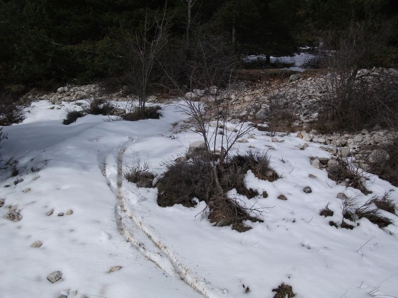 moustier_fev_2011_29.jpg
