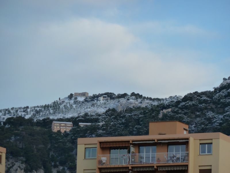 neige_janv_2011_03.jpg