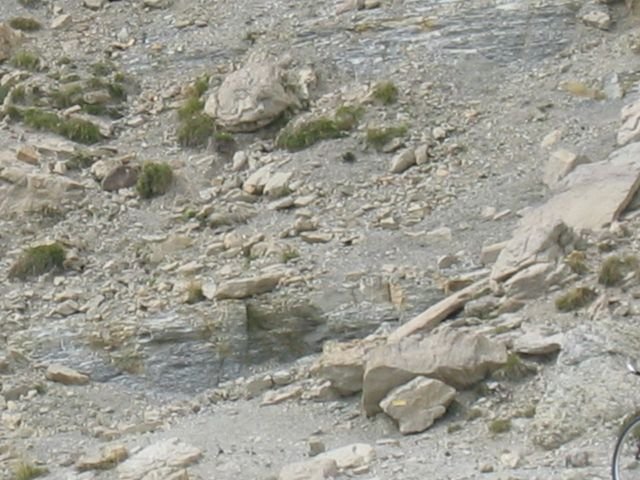 orgeas_pasquier_courradour_09.jpg