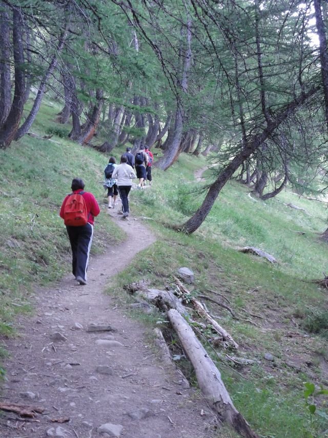 pelat_2010_04.jpg