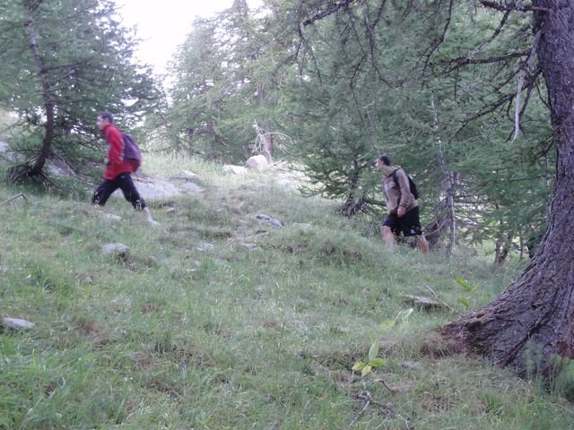 pelat_2010_05.jpg