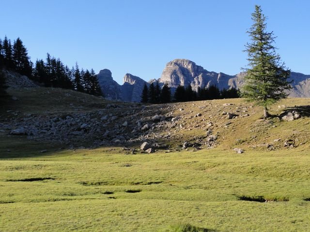 pelat_2010_16.jpg