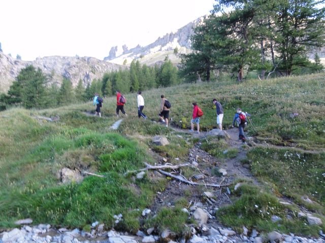pelat_2010_18.jpg