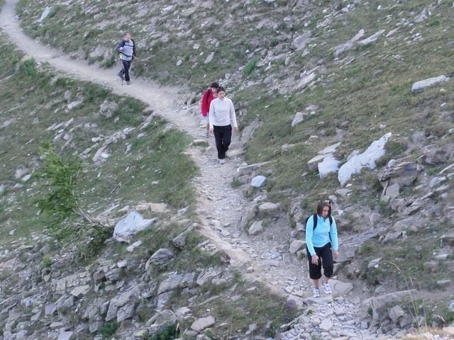 pelat_2010_20.jpg