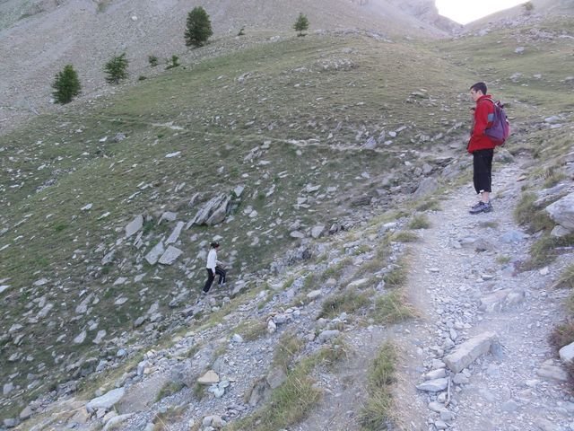 pelat_2010_22.jpg