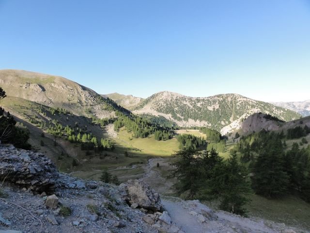 pelat_2010_23.jpg