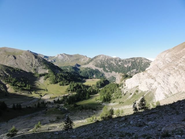 pelat_2010_27.jpg