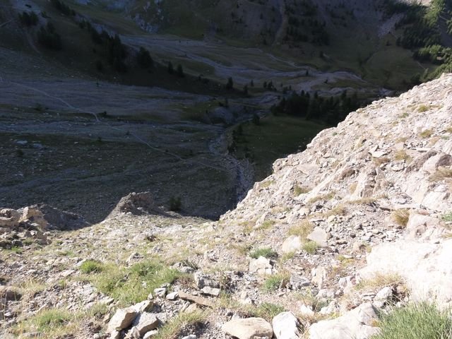 pelat_2010_28.jpg