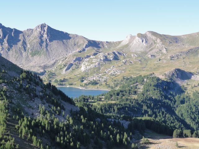 pelat_2010_31.jpg