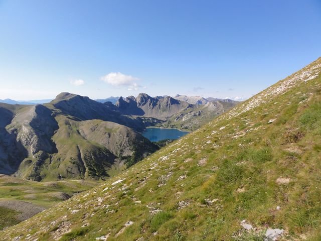 pelat_2010_38.jpg