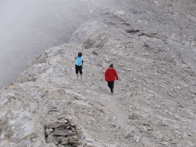pelat_2010_47.jpg
