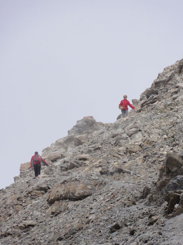 pelat_2010_48.jpg