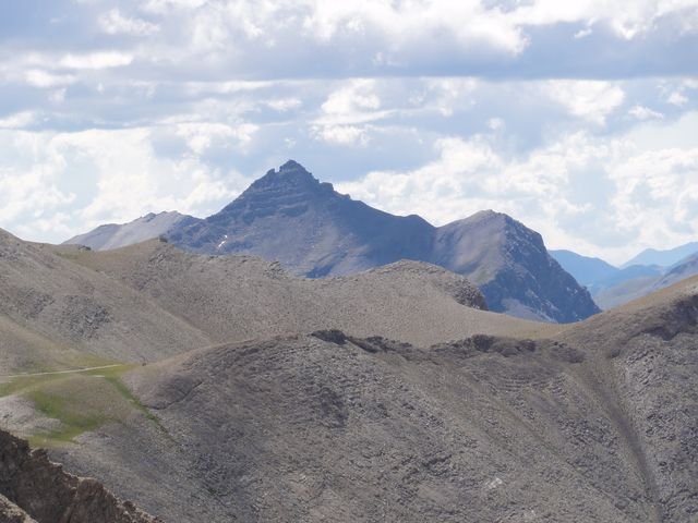 pelat_2010_61.jpg