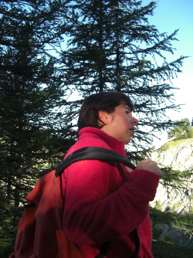 pelat_2010_cristou_03.jpg