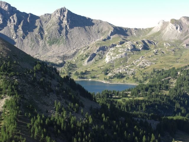 pelat_2010_cristou_13.jpg