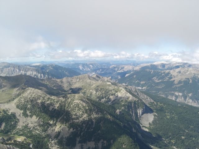 pelat_2010_cristou_23.jpg