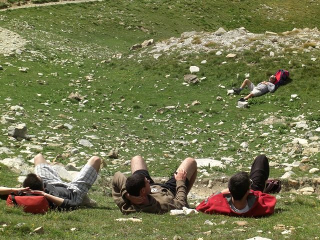 pelat_2010_cristou_31.jpg