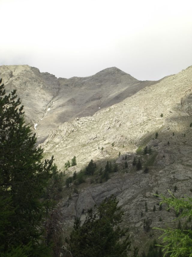 pelat_2010_cristou_36.jpg