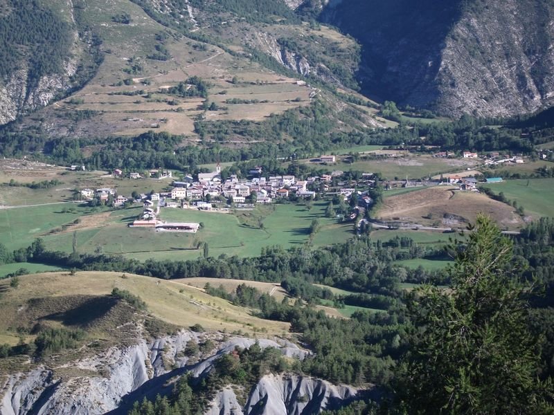 petit_cordoeil_antenne_08.jpg
