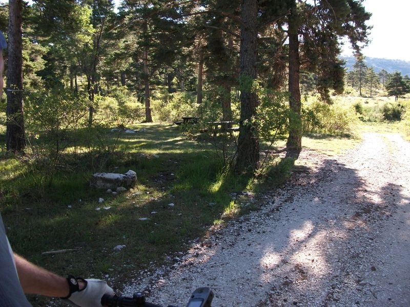 petit_cordoeil_antenne_13.jpg