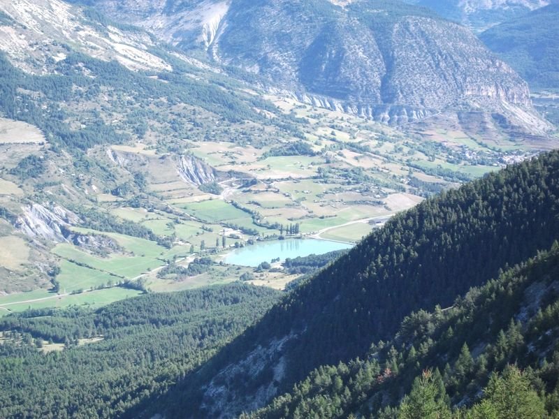 petit_cordoeil_antenne_26.jpg