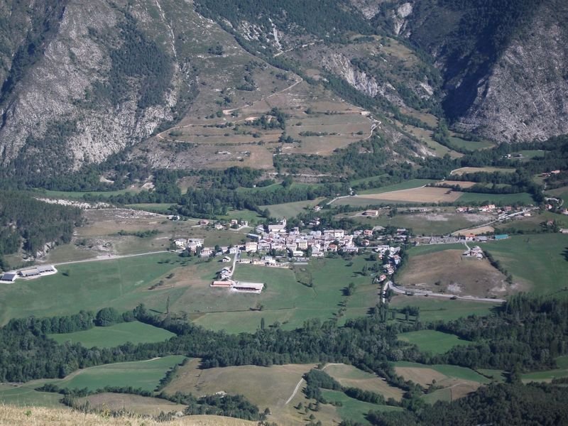 petit_cordoeil_antenne_27.jpg