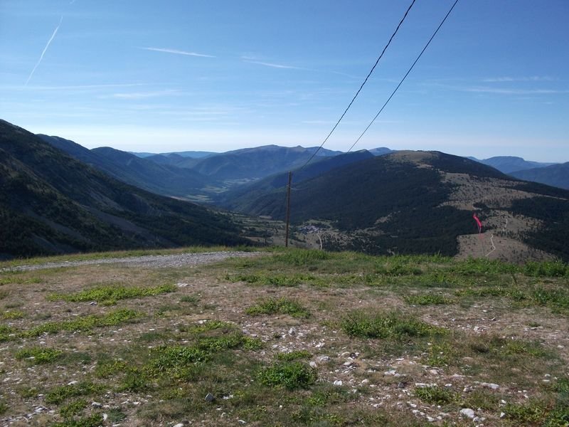 petit_cordoeil_antenne_29.jpg