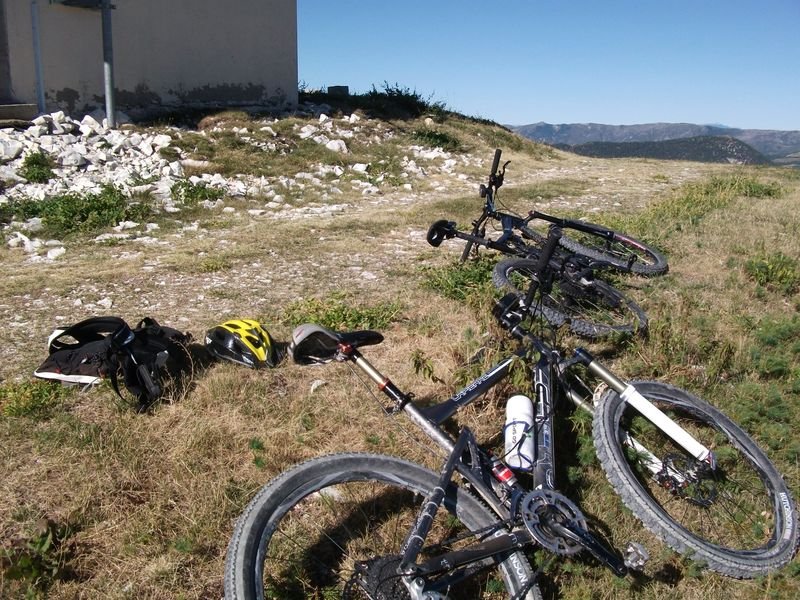 petit_cordoeil_antenne_32.jpg