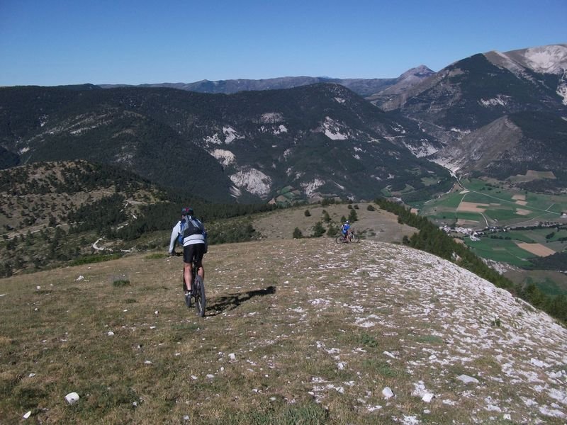 petit_cordoeil_antenne_37.jpg