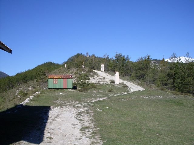 piegut_04.jpg