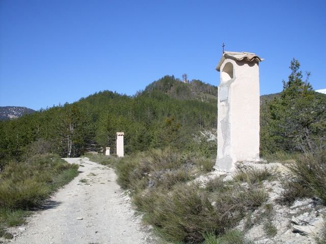 piegut_05.jpg