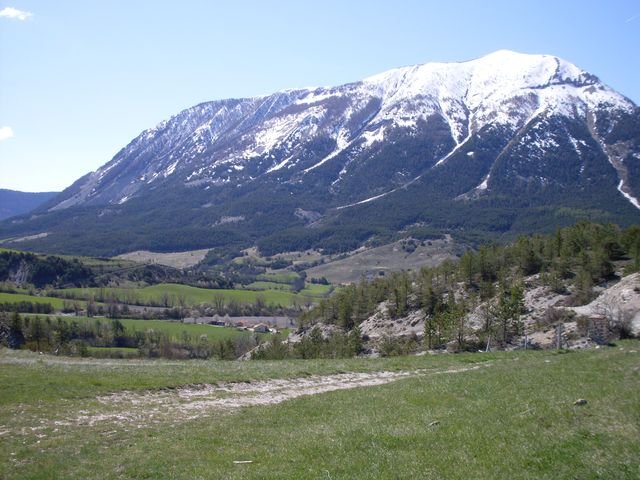piegut_27.jpg