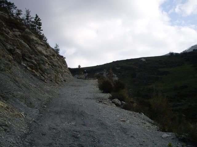 piegut_31.jpg