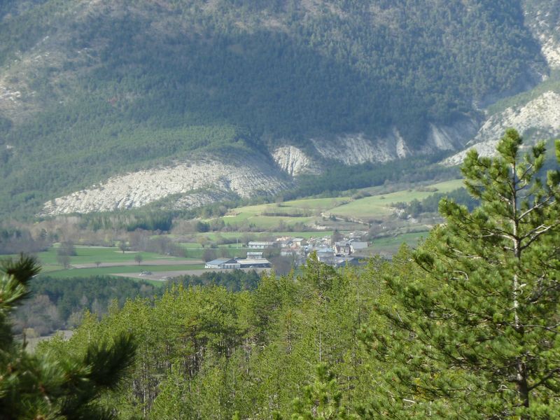 piegut_avril_2011_13.jpg