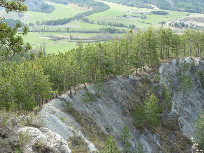 piegut_avril_2011_14.jpg