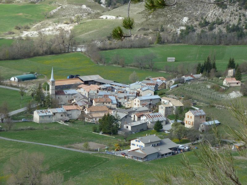 piegut_avril_2011_15.jpg