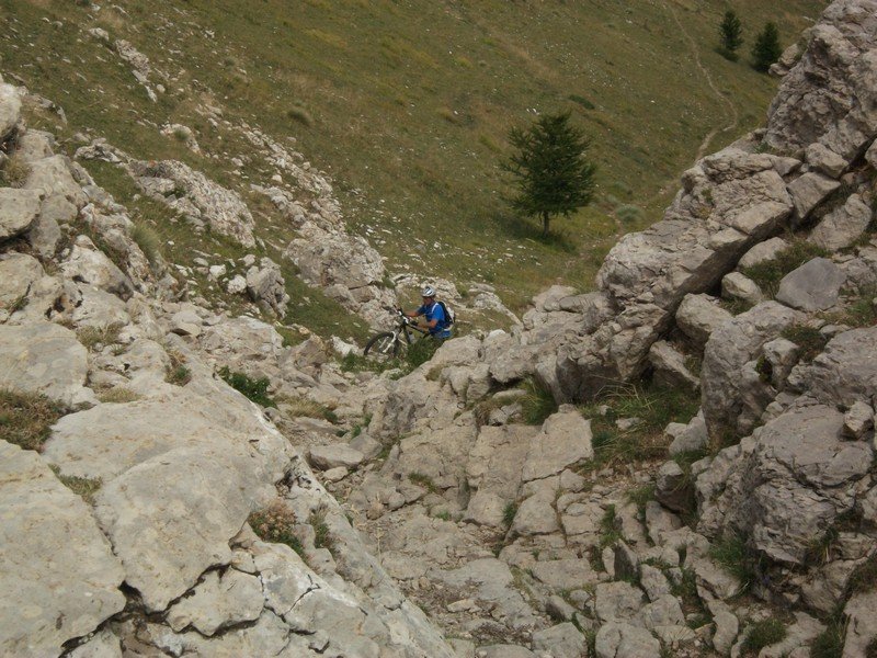 plan_des_mouches_52.jpg
