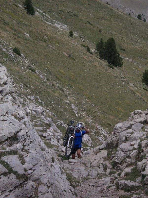 plan_des_mouches_54.jpg