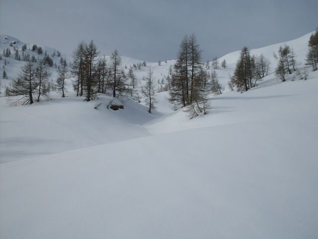 pra_bertrand_09.jpg