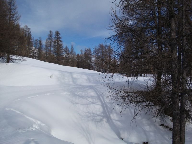 pra_bertrand_fev_2011_06~0.jpg