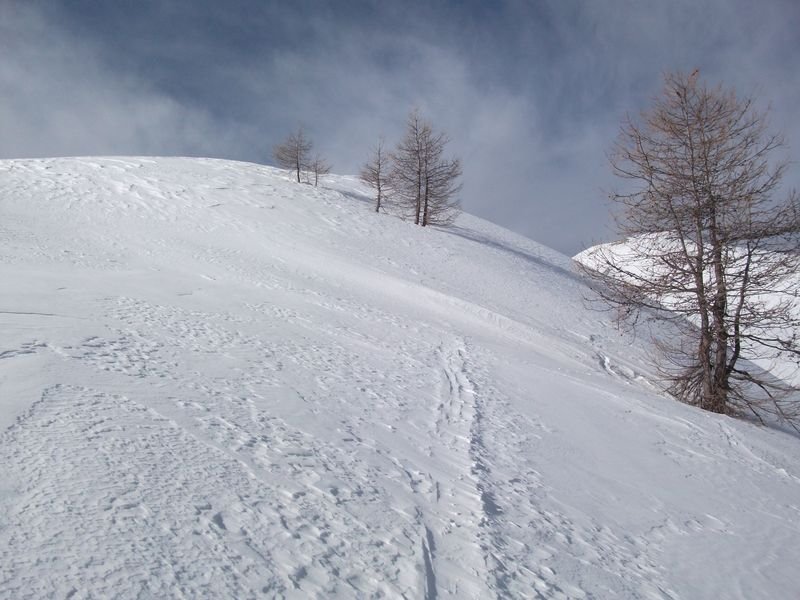 pra_bertrand_fev_2011_16.jpg