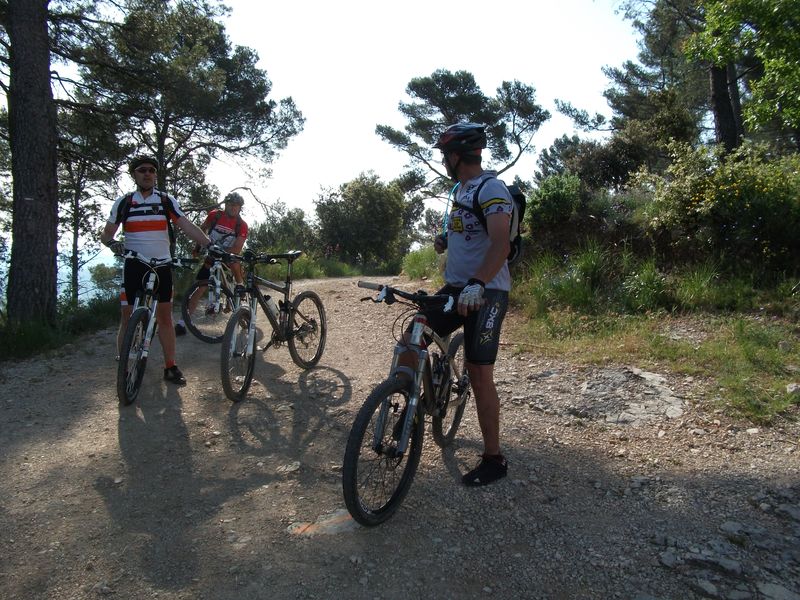 reganas_2011_08_1.jpg