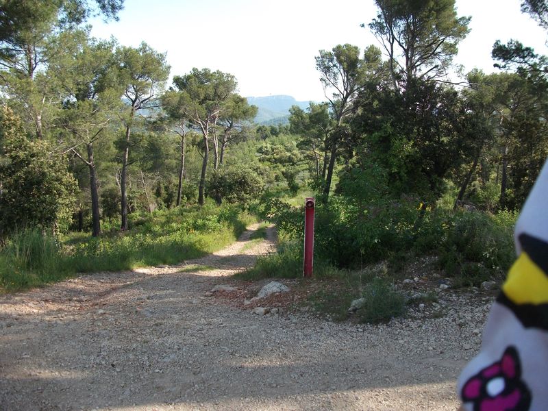 reganas_2011_09_1.jpg