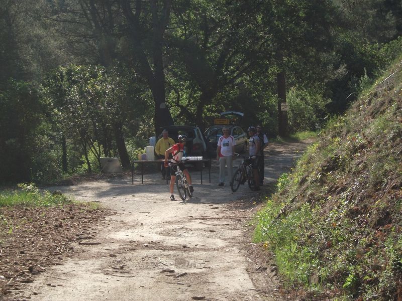 reganas_2011_10_1.jpg