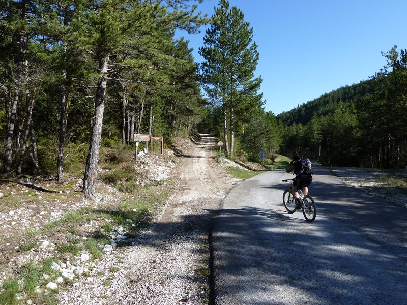 reyniere_avril_2011_03.jpg